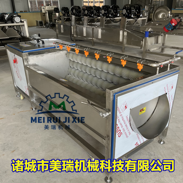 大姜毛辊去皮清洗机 多功能毛滚清洗机 全自动土豆去皮机