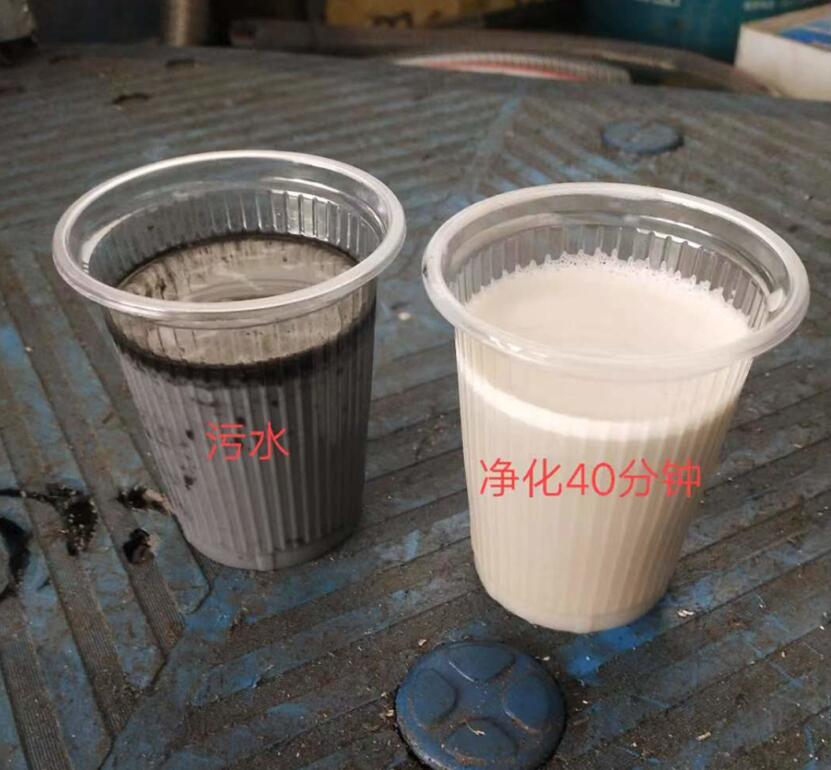 机床切削液过滤设备
