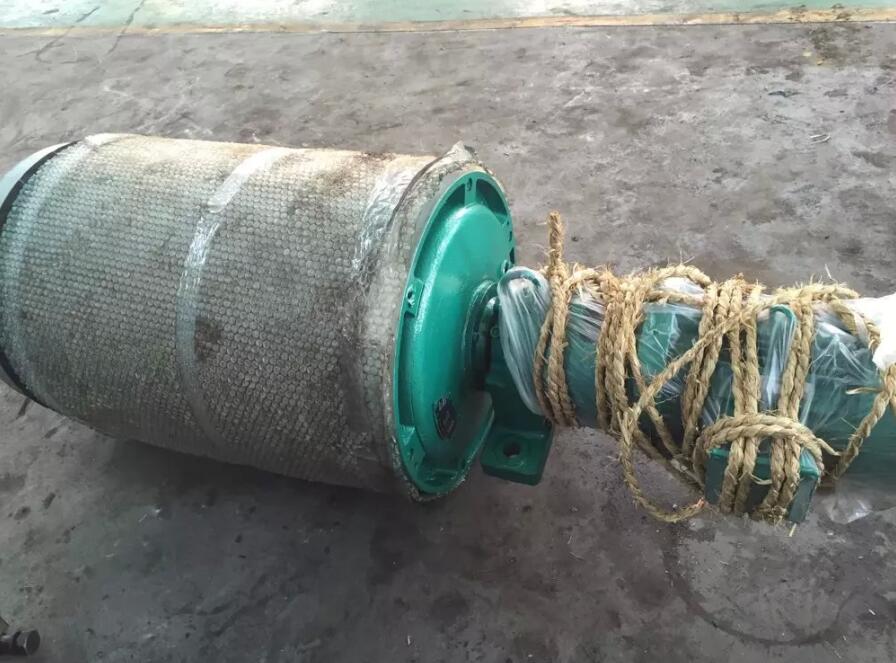 WD型外装防爆电动滚筒带宽500  供应  滚筒直径630mm  外装式电动滚筒  内置滚筒