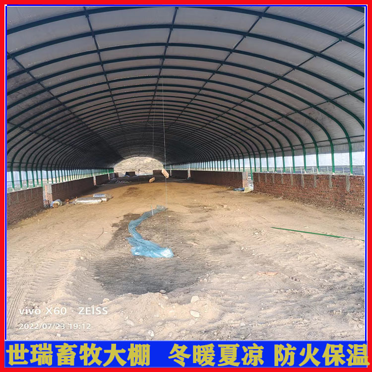 现代化养猪大棚建设 钢架猪舍大棚搭建 养猪大棚安装厂家
