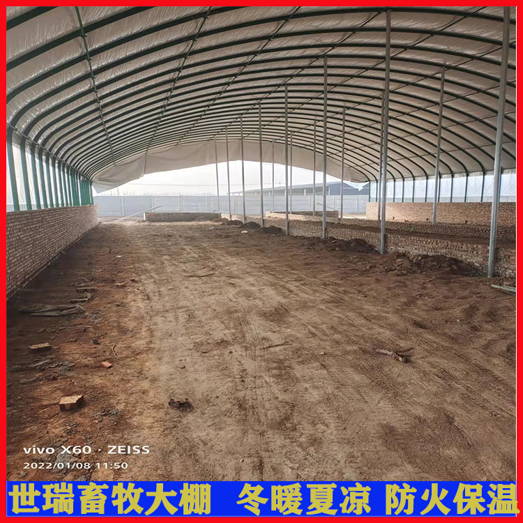 现代化养羊大棚建设 保温羊棚安装 肉羊养殖大棚施工建造