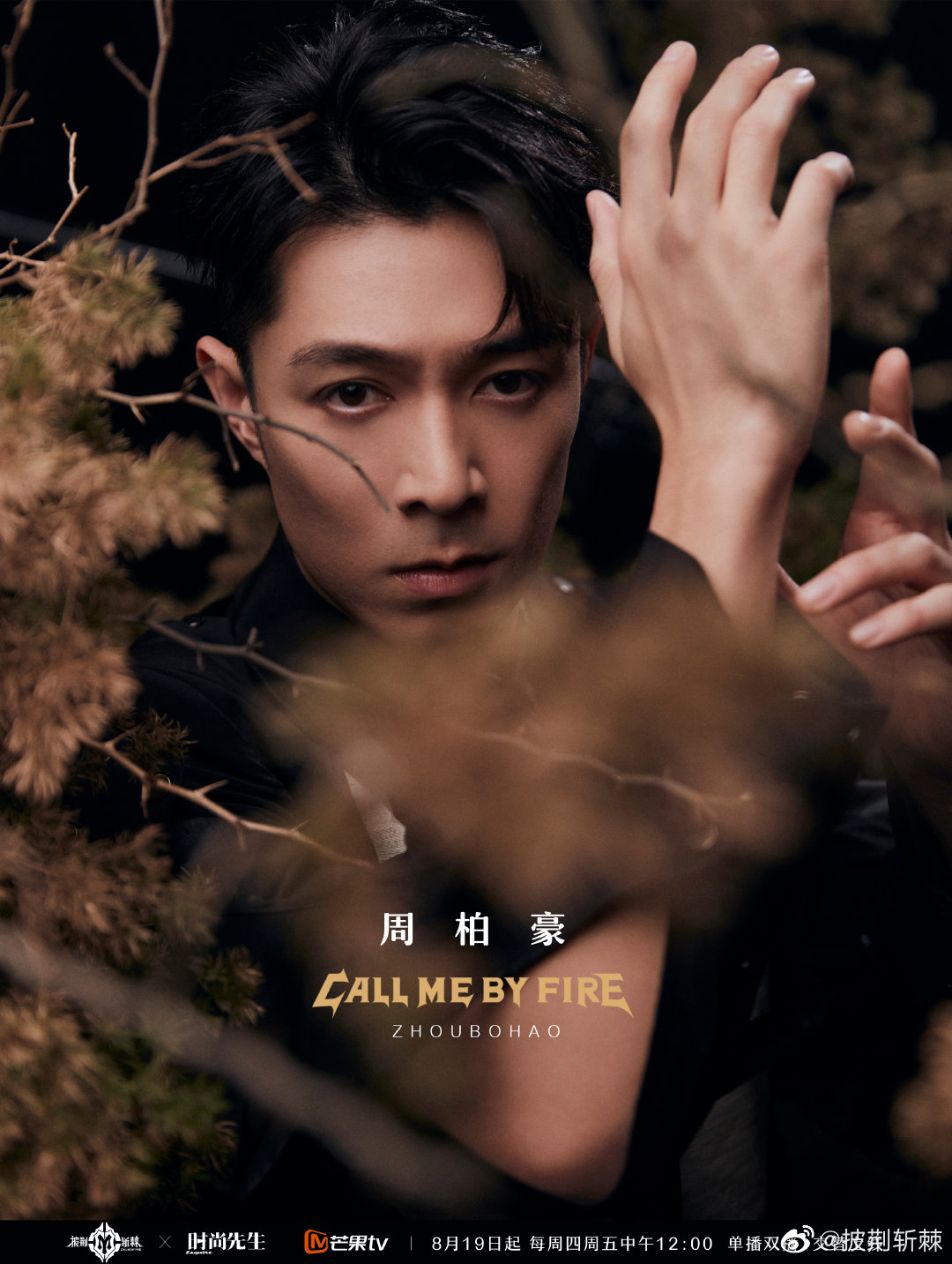 《披荆斩棘2》正在热播中 周柏豪代言商演均可合作  明星翻包  明星代言  明星商务
