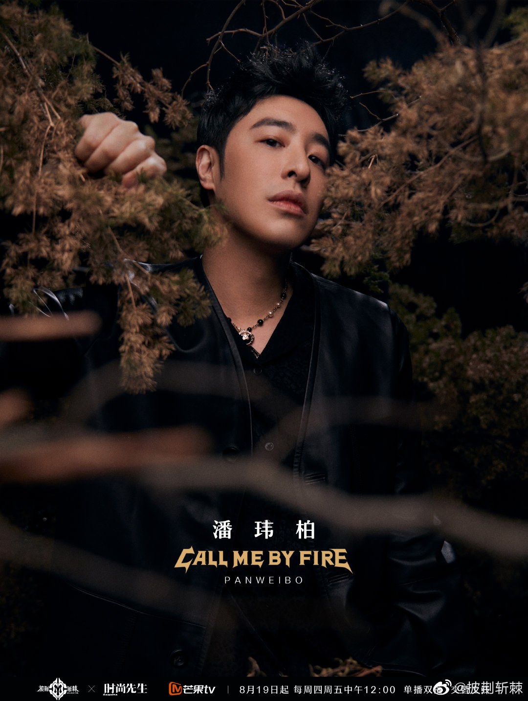 近期热度艺人潘玮柏 《披荆斩棘2》正在热播中  明星代言  明星商演  明星商务