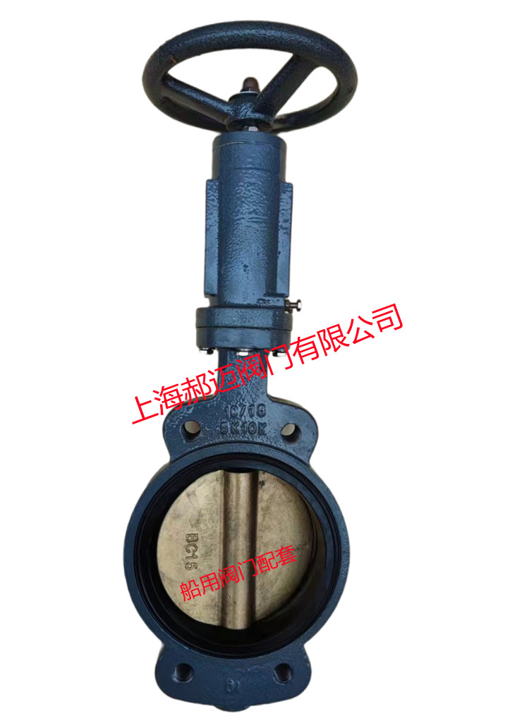 船用铸铁止回阀 GB/T592-93 B型  船用铸铁角式止回阀  船用铸铁水平止回阀