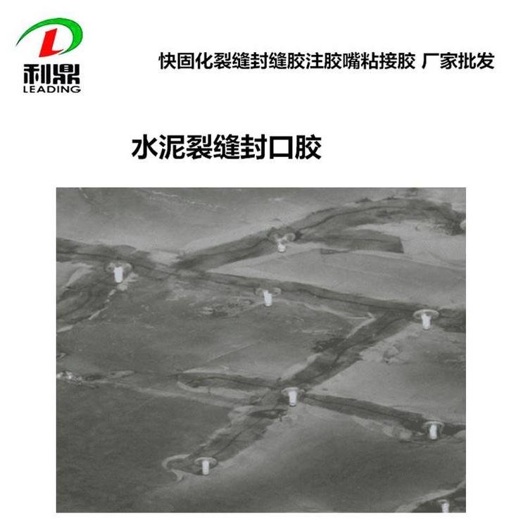利鼎供应环氧树脂封口胶SG-212环氧树脂结构胶  注胶嘴粘结胶