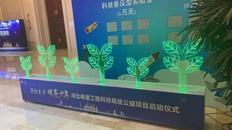 天津津南4米6米树苗启动道具各类仪式庆典启动道具租赁  天津津南树苗启动  树苗启动道具出租  天津启动道具租赁