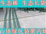 广州护坡生态袋