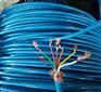 天联42X0.785WDZR-PTYA23-