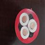 天联6X0.785WDZR-PTYL23-
