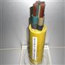双绞屏蔽线WDZC-RS485 1X2X0.75