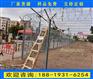 惠州道路中央隔离栅现货 金属网片防护栅栏厂家