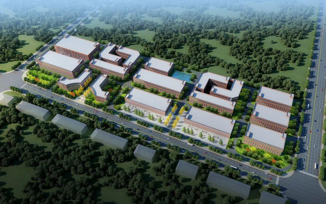 青籽能源树种植可行性研究报告代理