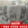 石雕招财象，青石大象，汉白玉大象，惠安石雕大象