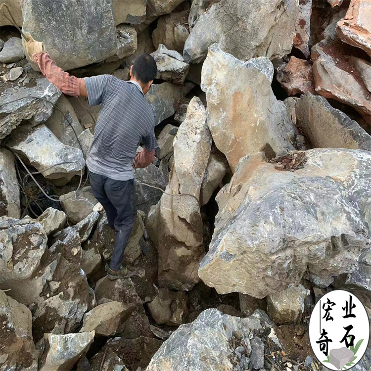 太湖石产地 佛山太湖石多少元一吨  太湖石假山设计