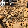 湖南黄蜡石原石-黄蜡石批发基地