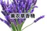 供应青海茉莉香精和西宁薰衣草香精
