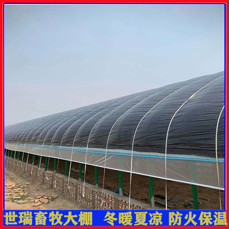 建造牛舍大棚 标准养牛大棚搭建 养牛棚施工安装方法
