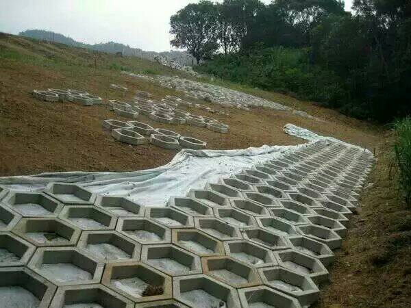 六角护坡塑料模具空心实心护坡工程建设施工  实心六角护坡模具  空心六角护坡模具