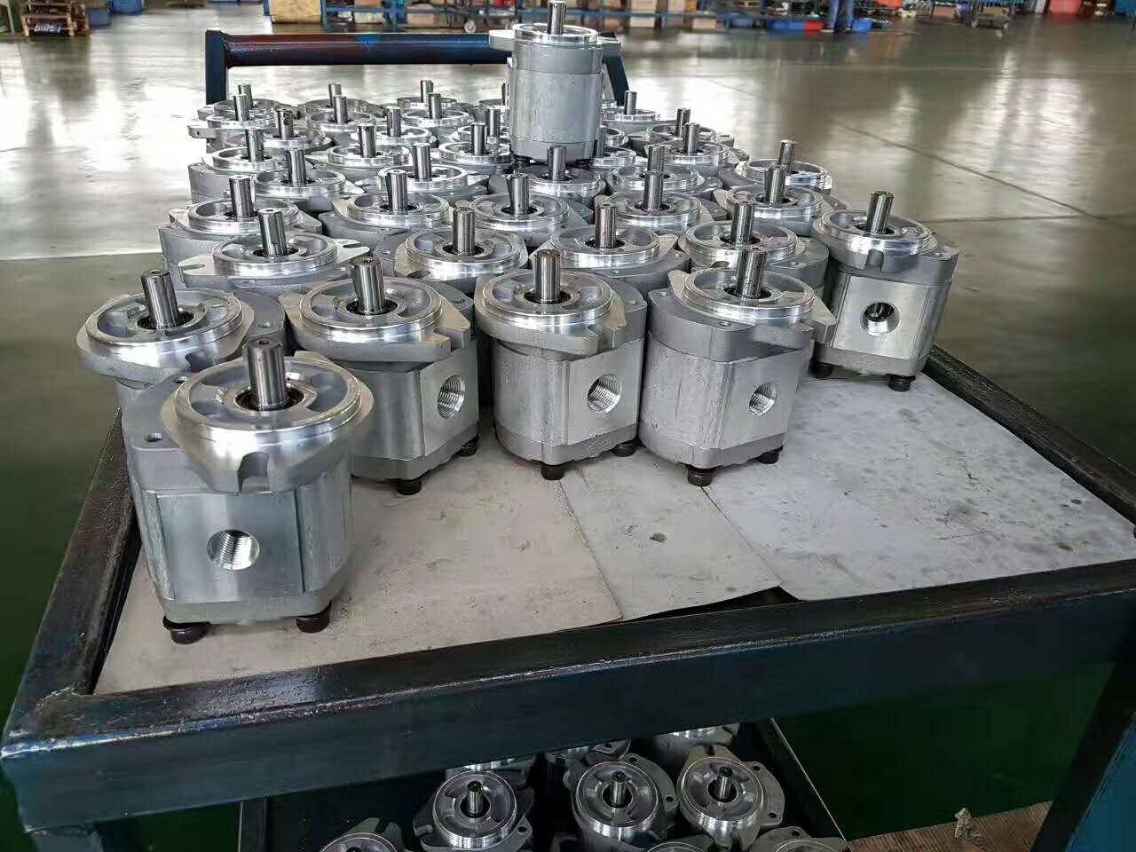 南通市CBJ3100-B4R2022已更新(今日/价格)  齿轮泵供应商  齿轮泵厂家  齿轮泵销售