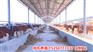 广东阳江肉牛小牛苗价格/养殖场（今日/价格）