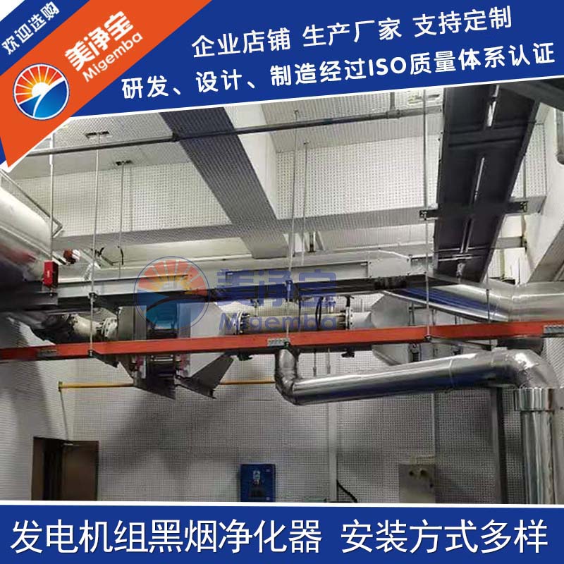 发电机组脱硝烟气NOx净化装置SCR净化器  发电机干式脱硝  发电机烟气脱硝