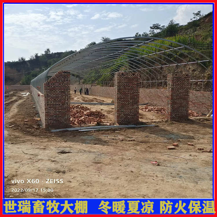 大棚结构牛棚建设 肉牛养殖大棚搭建 牛舍大棚施工安装