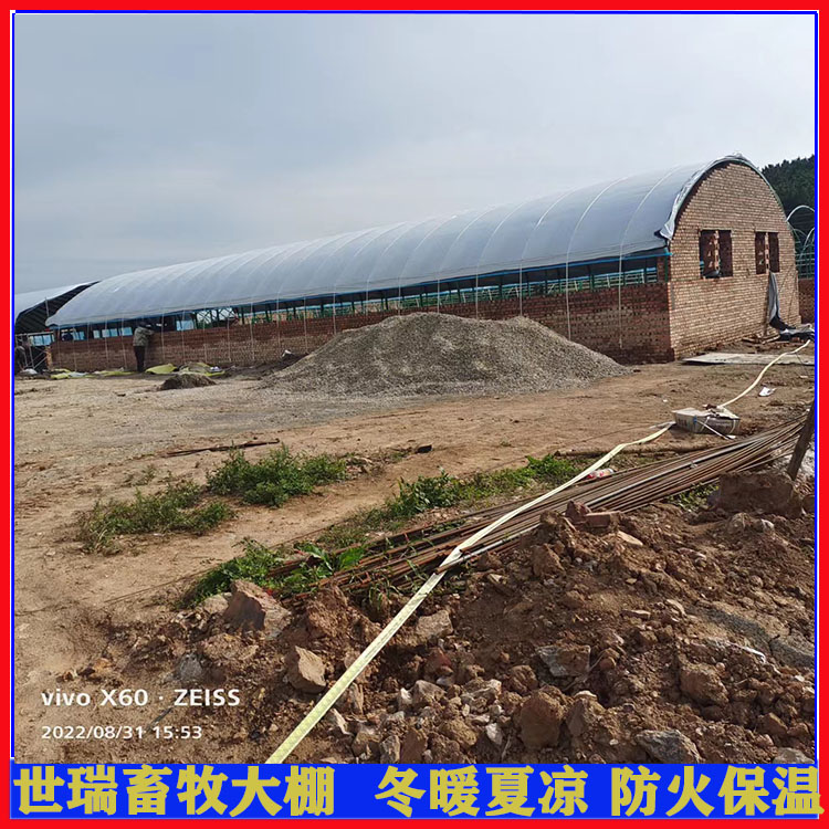 大棚结构牛棚建设 肉牛养殖大棚搭建 牛舍大棚施工安装