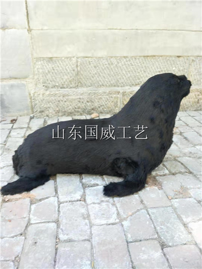 仿真海豹生态展厅布景展览仿真海豹模型