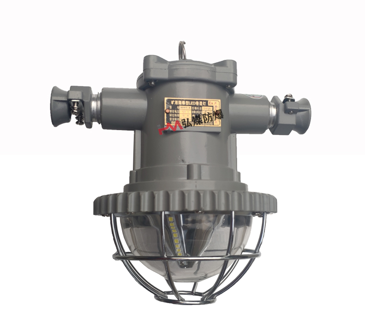 DGS20/127L矿用隔爆型LED巷道灯 127V  20W巷道灯