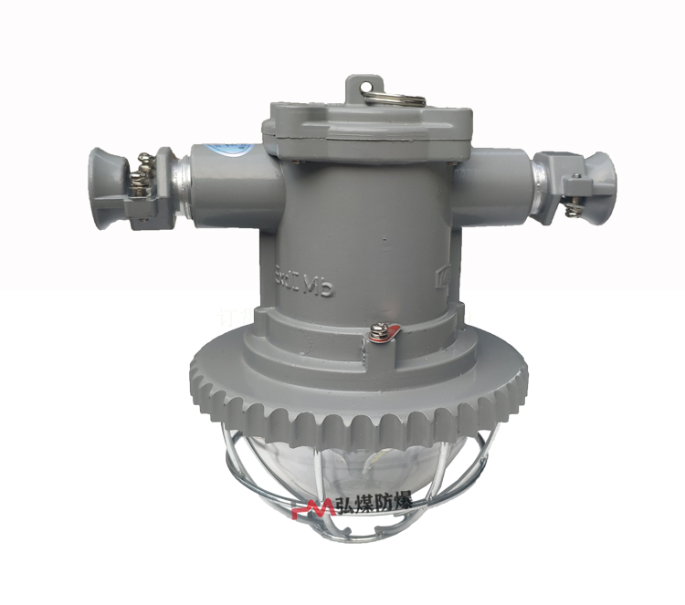 DGS20/127L矿用隔爆型LED巷道灯 127V  20W巷道灯