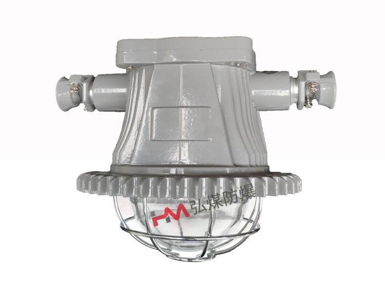 DGS28/127L矿用隔爆型LED巷道灯 127V照明灯  LED照明灯