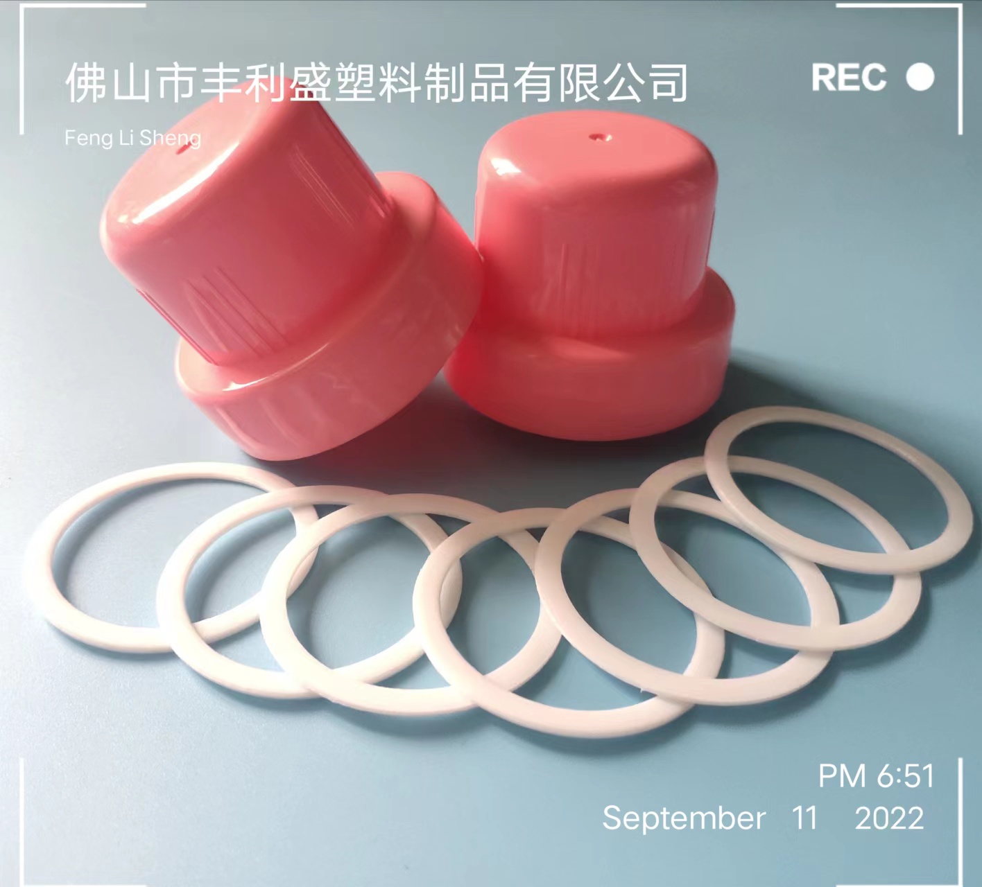 丰利盛EVA垫片、密封防漏、密封防漏、防震垫片  PS垫片  瓶盖垫片