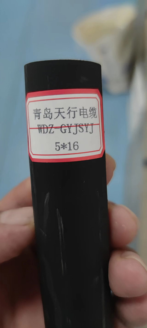 青岛天行高寿命电缆 WDZ-GYJSYJ  长寿命电缆  高寿命电缆厂家