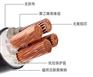 低烟无卤辐照交联阻燃电缆WDZ-YJ(F)Y