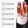 铜芯低烟无卤控制电缆WDZ-KYJY