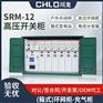 SRM6-12/630户外高压充气柜开闭所10kv充气环网柜