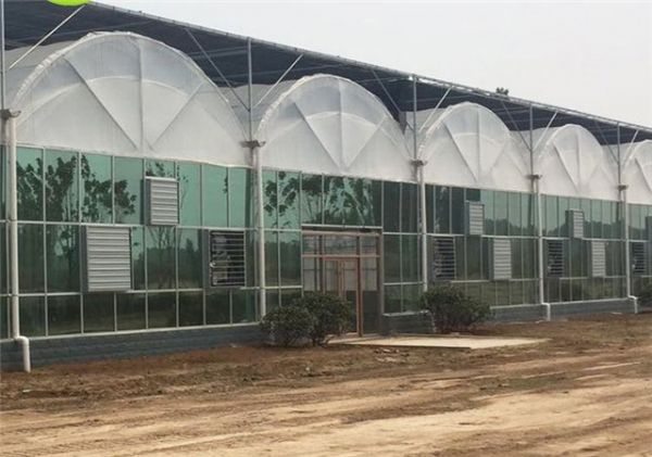 潍坊连栋薄膜大棚建设厂家