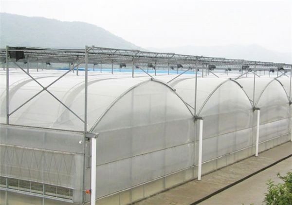 潍坊连栋薄膜大棚建设厂家