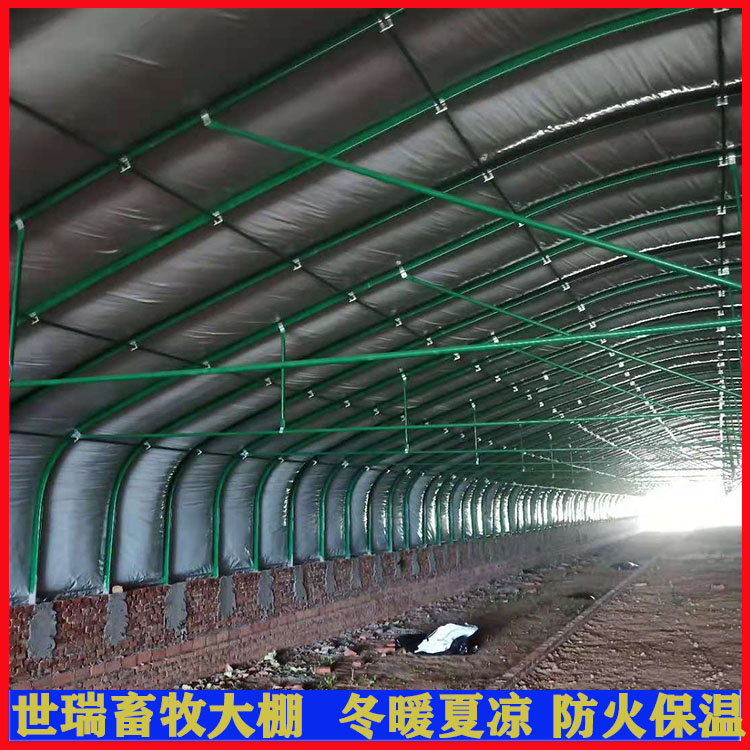 现代化养鸡大棚搭建 保温鸡舍大棚建设 肉鸡养殖棚安装