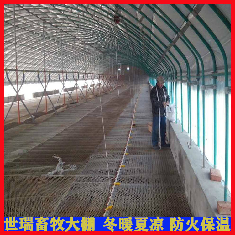 养鸡大棚施工设计 鸡舍大棚安装 肉鸡保温大棚搭建厂家