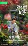 卿卿日常“五少主” 昌隆 代言商演植入均可合作