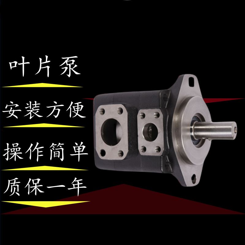 丹尼逊 Danison T6D-014-2L02-A1 叶片泵厂家 叶片泵销售