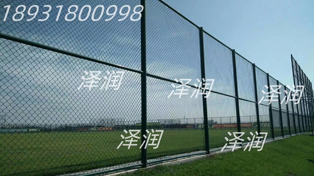 河北饶阳泽润定制体育场护栏球场围栏  体育场护栏网  球场围栏网  够花护栏网