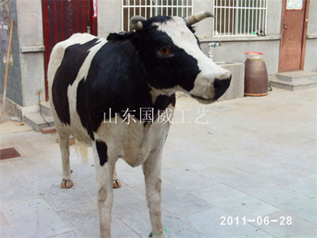 仿真奶牛生态展厅设计展览仿真奶牛模型