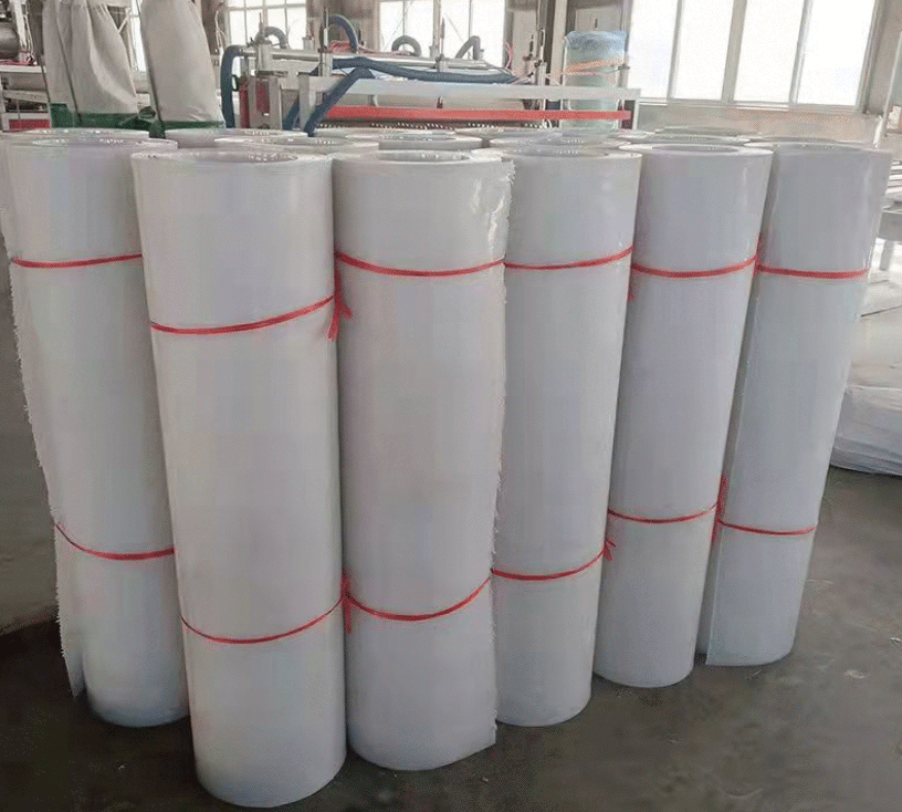 山东鸡场养殖专用自动清粪机PP传粪带厂家  养殖场PP传粪带  pp传粪带厂家