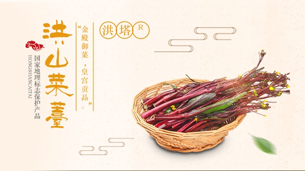 武汉特产洪山菜苔基地种植时间和种植方法