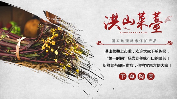 湖北新鲜洪山菜苔采摘荤素搭配人人都爱吃