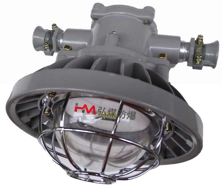 DGS36/127L(B)矿用隔爆型LED巷道灯  127v巷道灯