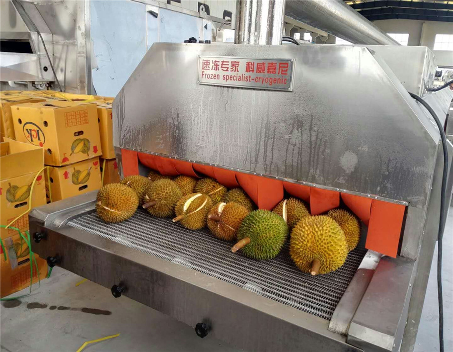 液氮速冻榴莲水果蔬菜海参生鲜食品 液氮速冻瞬间锁鲜  柜式液氮速冻机  隧道式液氮速冻机