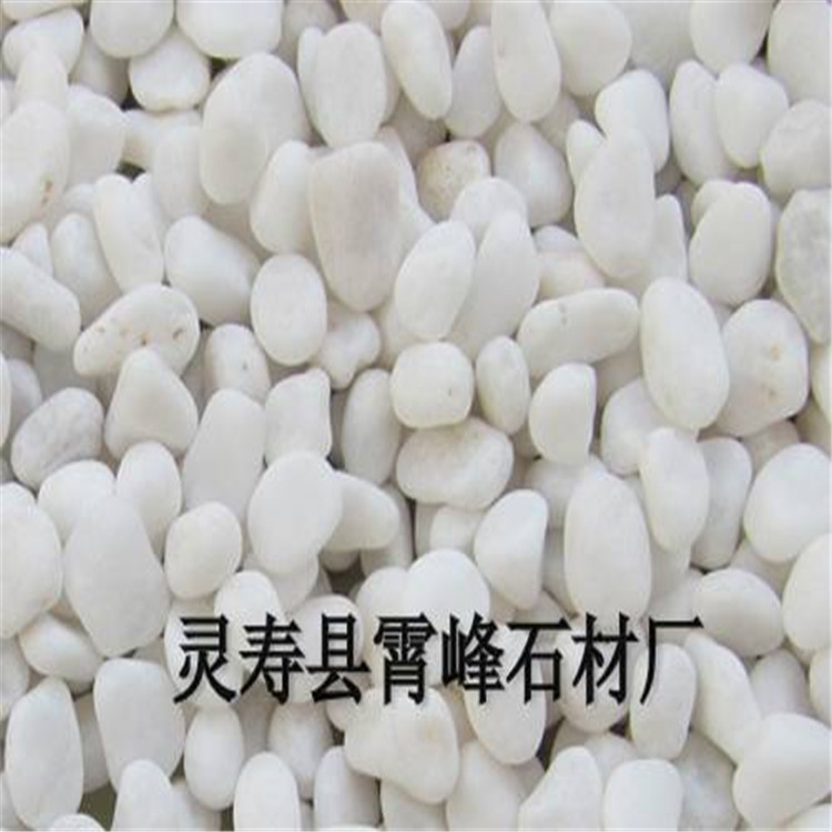 白色鹅卵石小白石子枯山水白石头园林造景铺路白鹅卵石  枯山水装饰白石子